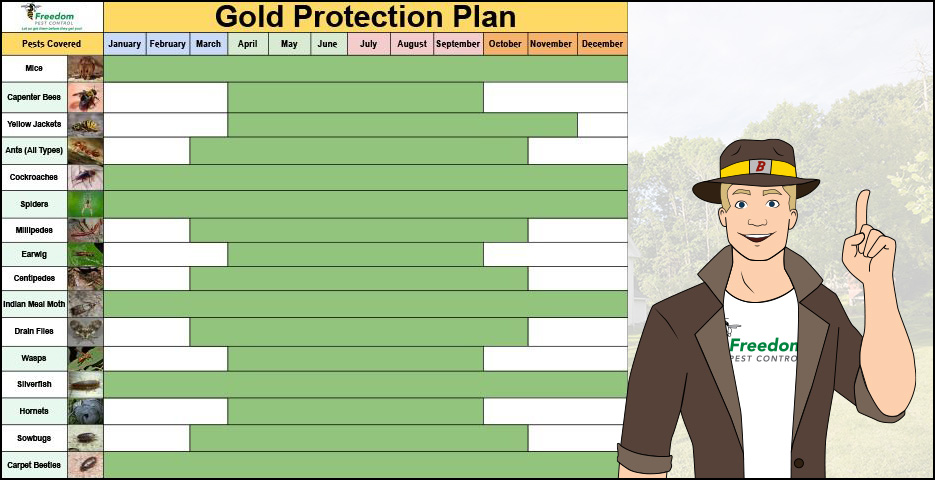  Gold Protection Plan