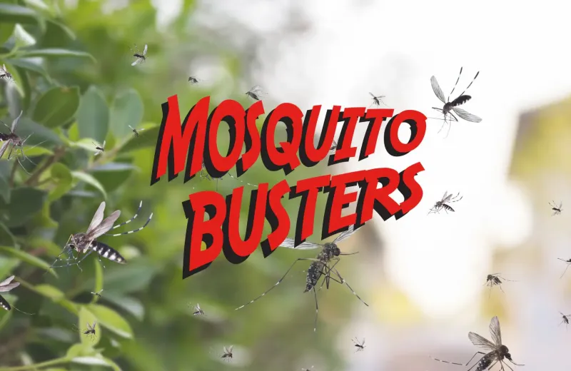 mosquito-buster-hero-contered